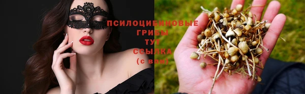 мдма Горняк